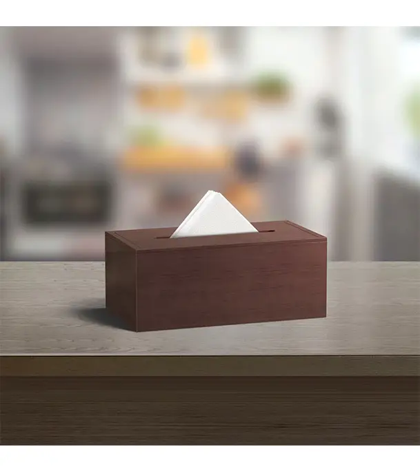 0576256_regal-tissue-box-craft-items-743