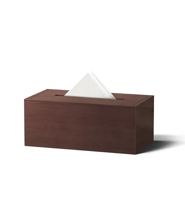 0576257_regal-tissue-box-craft-items-743