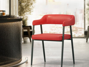 Regal Dining/Café/Visitor Chair II Café Chair-201