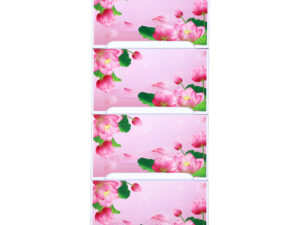 Supreme Wardrobe (Single-5D) – Better Life