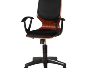 Furniture Plus Executive Computer Chair-Wooden