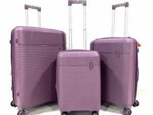 ADWARD POLO Family Luxury High Capacity Luggage (Purple)
