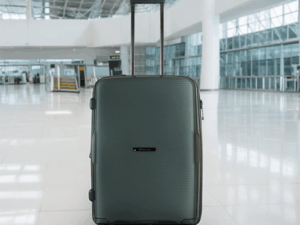 Leaves King Family Size TSA Lock Travel Trolley Luggage-2006 (Green)