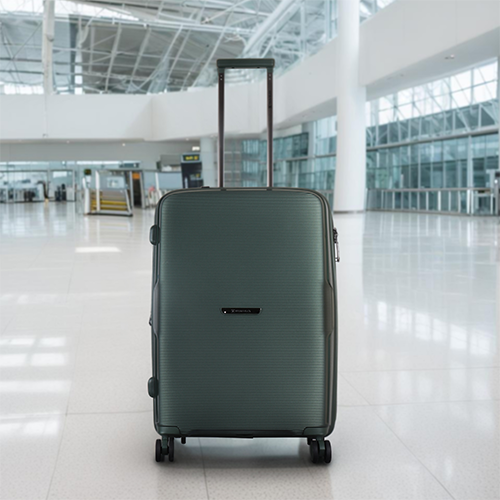 0897289_leaves-king-family-size-tsa-lock-travel-trolley-luggage-2006green