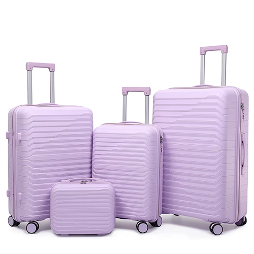 0897340_adward-polo-family-size-tsa-lock-travel-trolley-001purple