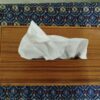 0914087_modern-tissue-box-made-by-vernier-board