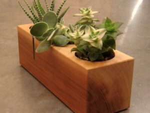 Wooden Flower Pot (H4" x W3" x L10") – Elegant Rectangular Wooden Planter Box