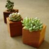 0914118_3-pc-wooden-flower-pot-h4inch-w3inch-by-3inch