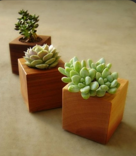 0914118_3-pc-wooden-flower-pot-h4inch-w3inch-by-3inch