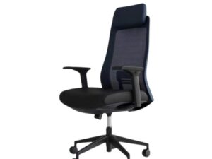 Omega Director Chair - CDS-147L