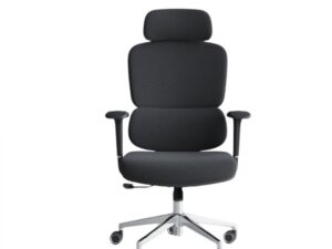 Omega Director Chair - CDS-A12 (Black)