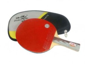 Double Fish Table Tennis Racket 5DC – 1 Pcs | Fast, Durable & Perfect for Sports & Fitness