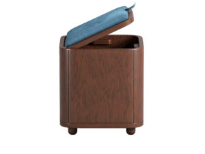 Smart Stool Cum Storage