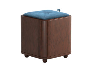 Regal Smart Stool Cum Storage