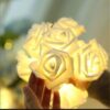 1371517_rose-fairy-light-20pcs-golden-led-rose-light