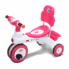 0347415_rock-rider-with-backrest-3y-pink.jpeg