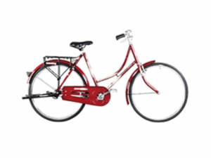 Duranta Steel 1-Spd Durjoy Ladies 26" 804465