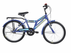Duranta Steel 1-Spd Rider 20 Blue