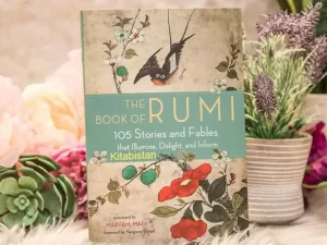 The Book of Rumi: 105 Stories and Fables that Illumine, Delight, and Inform by Rumi