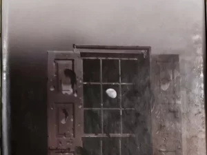 রোদনভরা এ বসন্ত – হুমায়ূন আহমেদ