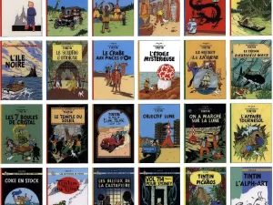 Tintin Comics Paperback Series English – Set of 24 Books