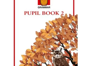Nelson Grammar Pupil Book 2: The Step by Step Course for Structured Grammar (Paperback)