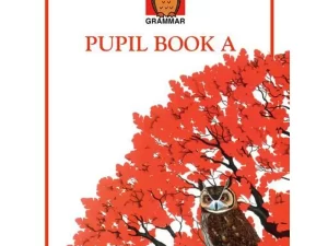 Nelson Grammar Pupil Book A: The Step by Step Course for Structured Grammar (Paperback)