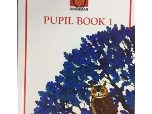 NELSON Grammar Pupil Book 1 (Paperback)