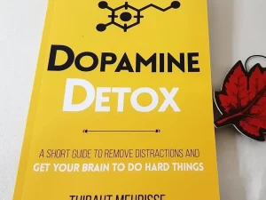 Dopamine Detox: A Short Guide to Remove Distractions and Get Your Brain to Do Hard Things (Productivity Series Book 1) by Thibaut Meurisse