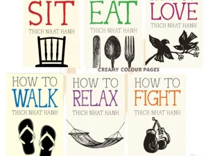 Thich Nhat Hanh Book Series (How to Sit, Eat, Love, Walk, Relax, Fight)