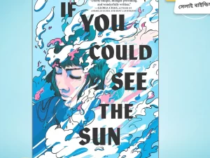 If You Could See the Sun Book by Ann Liang