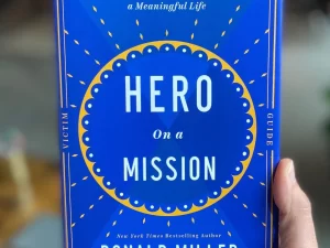 Hero on a Mission: A Path to a Meaningful Life Book by Donald Miller – Paperback