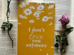 I Don't Love You Anymore Book by Rithvik Singh