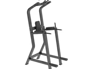 Chin Up + Dip + Vertical Knee Raise – BODY CHARGE USA – 1647A