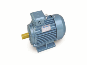 Motor 2.00 HP, 220V, 1450rpm (RYL100L-4)