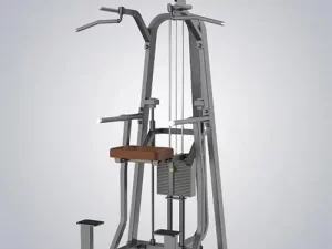 DHZ Chin Dip Assist Machine – T1009