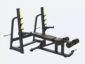 Premium Professional Flat/Incline/Decline Bench Press + Squat Rack + Abdominal Bench (Flat-Incline-Decline) BODY CHARGE USA-D12+D26+D29