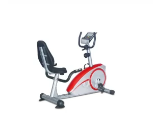 Daily Youth Premium Recumbent Bike FD5021