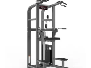 Chin/Dip Assist – Realleader USA – PF-1008