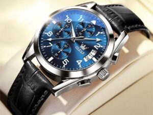 OLEVS 2878 Luxury Watch for Men