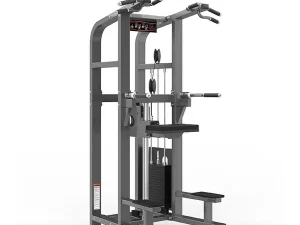 Chin/Dip Assist – Realleader USA – PF-1008