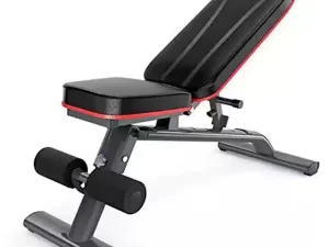 DDS Adjustable Weight Bench