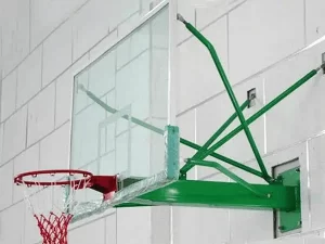 Professional Basketball Hoops